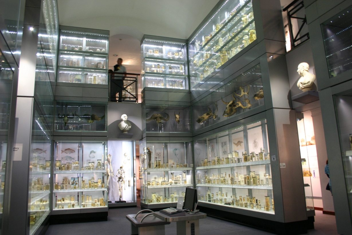 Hunterian Museum, Royal College of Surgeons, London - 02.JPG